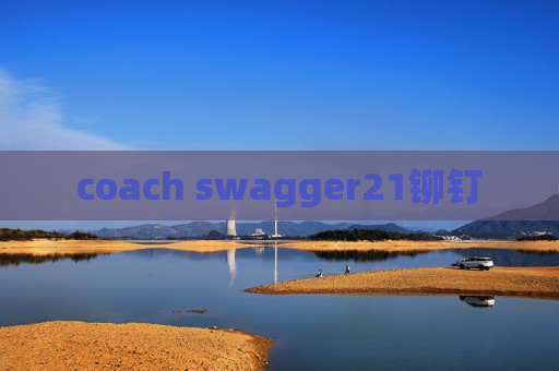coach swagger21铆钉
